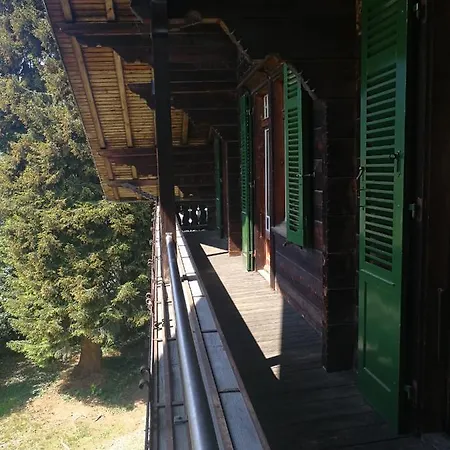 Peaks View Chalet Interlaken