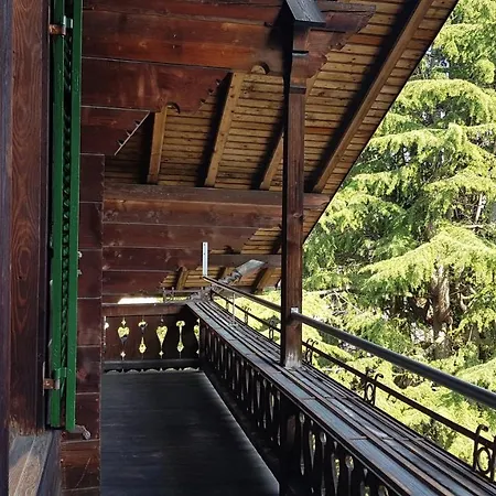 Peaks View Chalet Bed & Breakfast