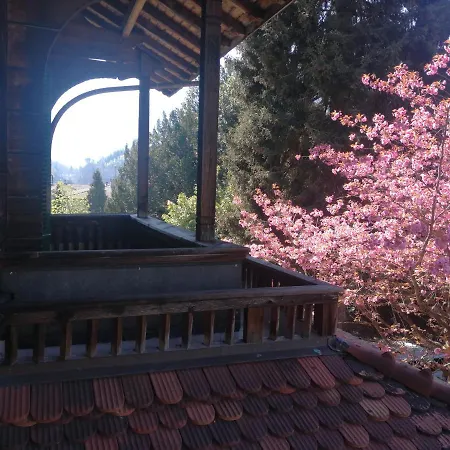 Peaks View Chalet Bed & Breakfast Interlaken